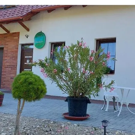 Patak Vendeghaz * Zalaegerszeg